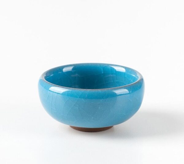 Small Round Indoor Pot