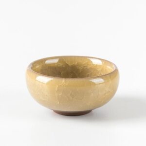 Mini Indoor Plant Pot