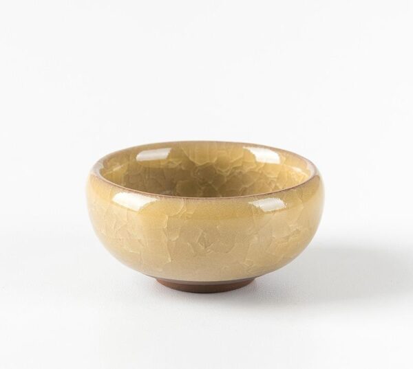 Mini Indoor Plant Pot