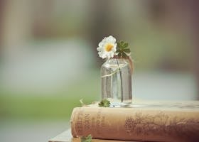 A serene composition featuring a white flower in a glass bottle atop a vintage book, evoking simplicity and elegance.